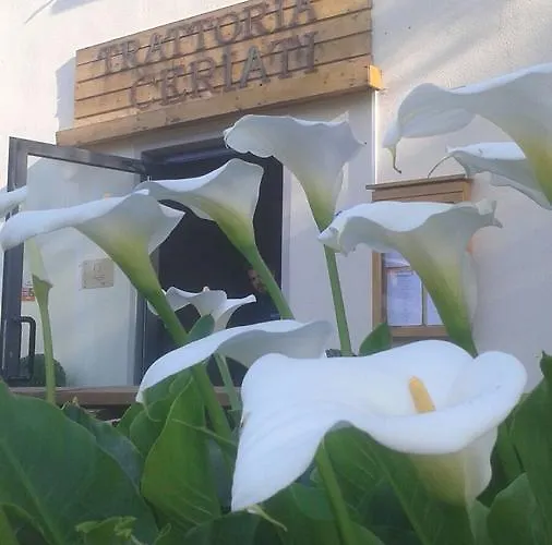 Alojamento de Acomodação e Pequeno-almoço Trattoria Ceriati & Breakfast Salsomaggiore Terme