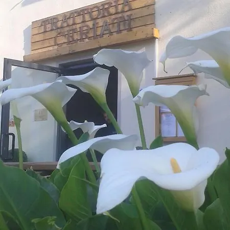 Bed & Breakfast Trattoria Ceriati & Breakfast Salsomaggiore Terme